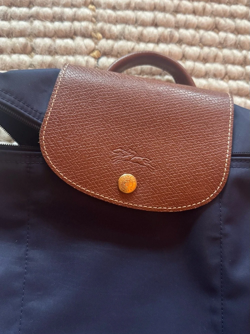 Longchamp Brown & Navy Nylon Backpack - Classic Men's Daypack